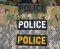 MSM Logo Patch - PVC Police 6x2